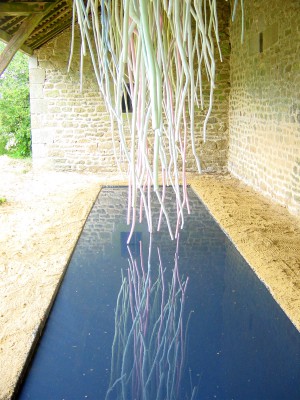 2003 L’ÉMOI DE NARCISSE – PARC FLORAL DE HAUTE BRETAGNE (FRANCE)