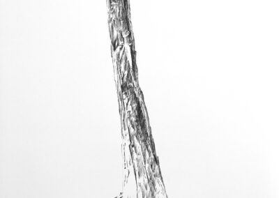 Dessin de bois de Loire (comme une sculpture)